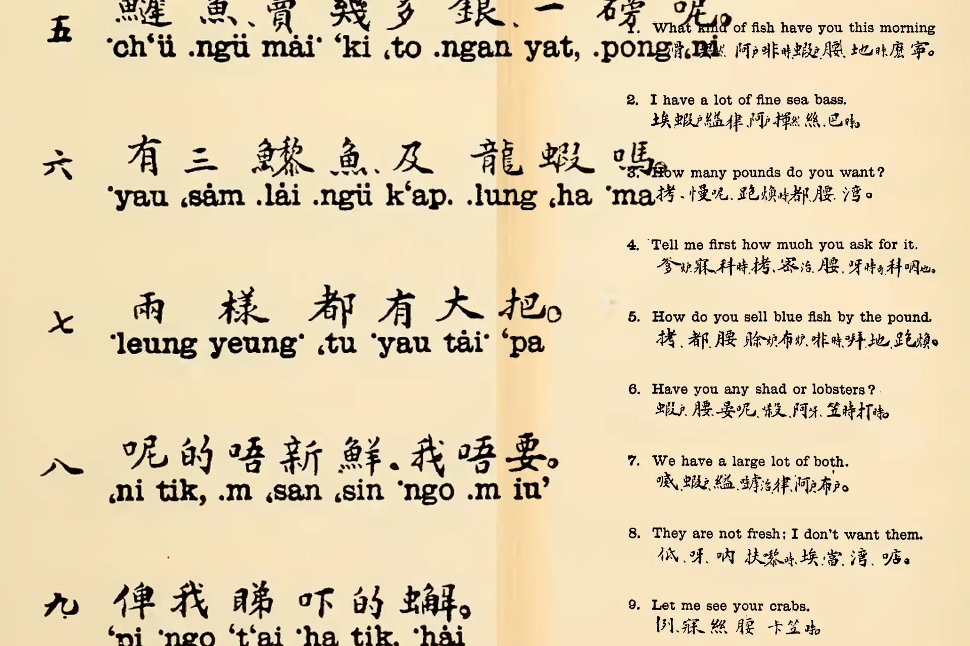 A New Language in the Making: HongKongese